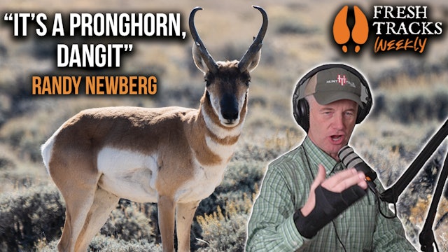 Antelope or Pronghorn | Fresh Tracks Weekly (Ep. 37)