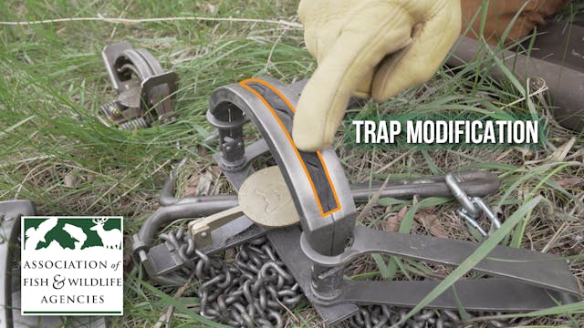 What Makes a Trap a BMP Trap