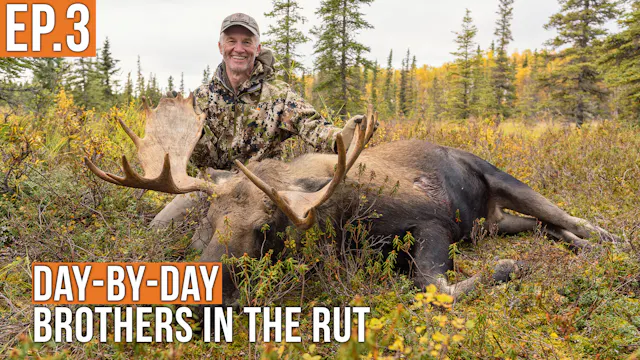 A Buzzer Beater Bull| | Brothers in t...