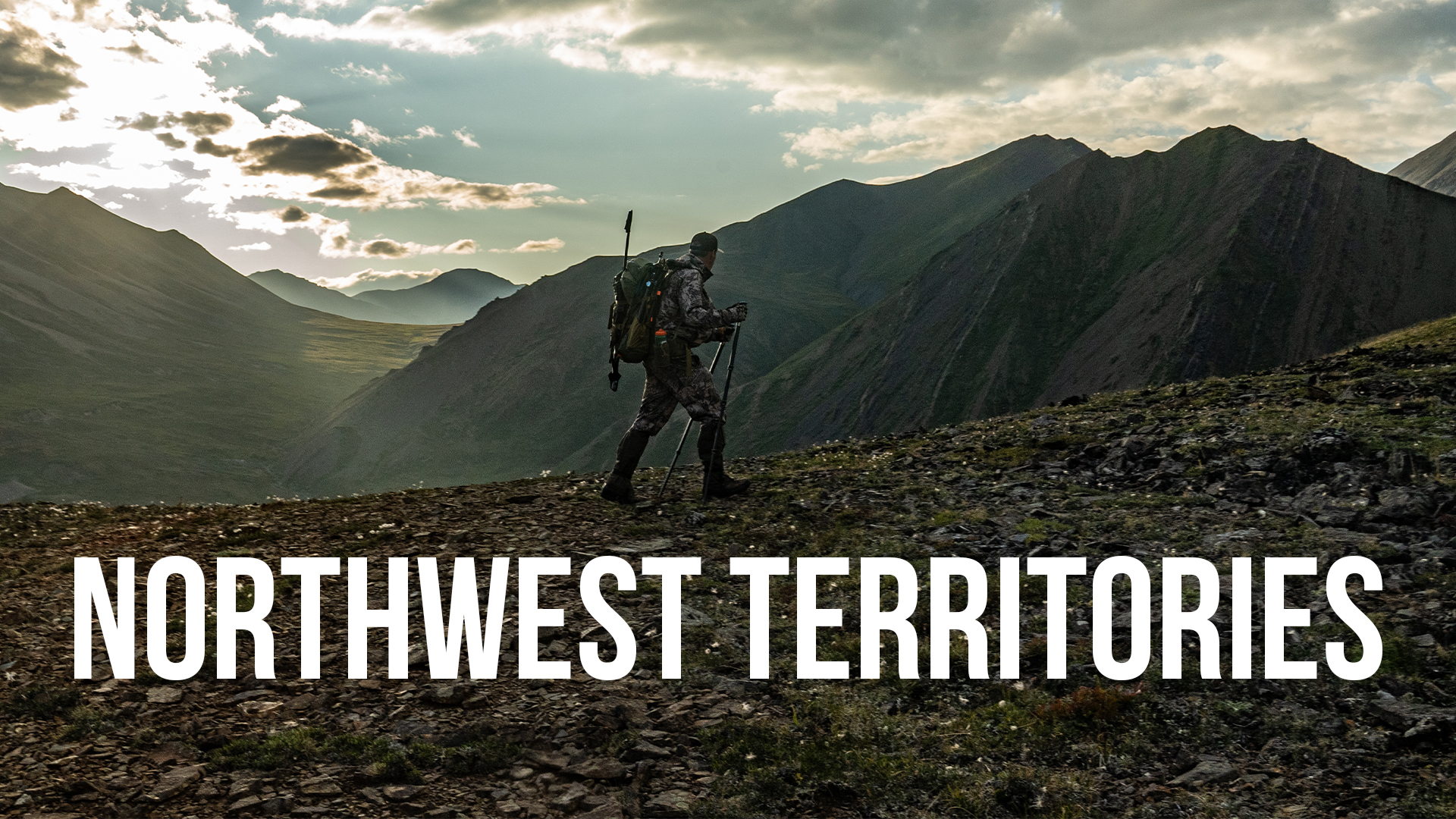 Northwest Territories | Sheep and Caribou