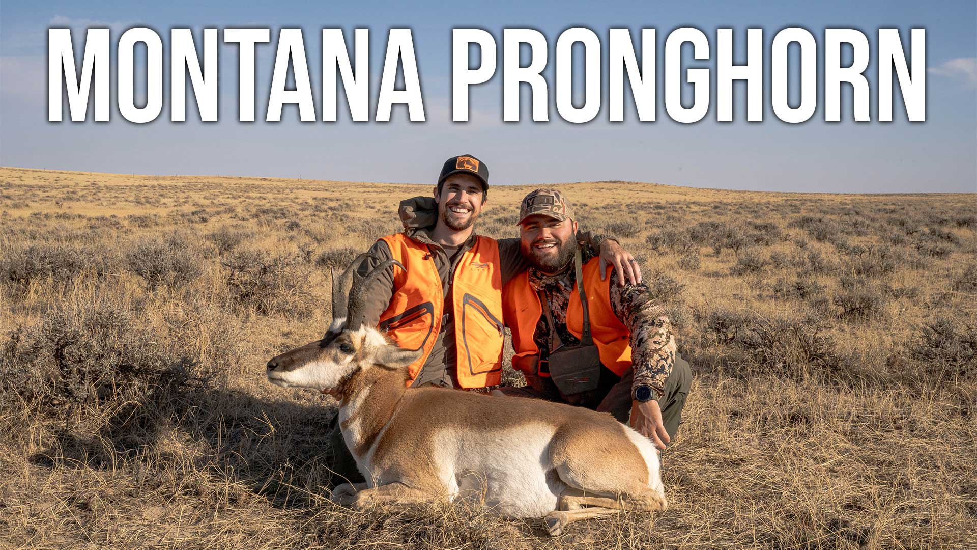Montana Pronghorn Day-by-Day