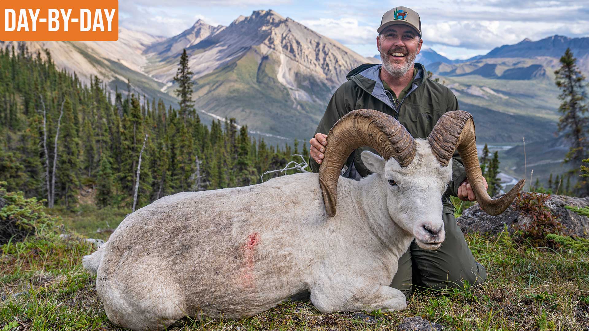 Andy's Ram! | NWT Dall Sheep and Caribou (EP.6)  