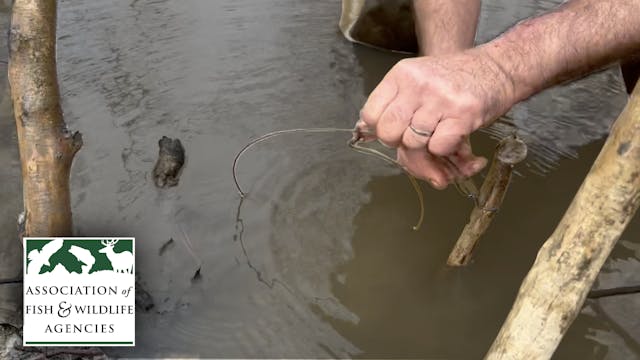 Underwater Sets for Beaver Using Cabl...