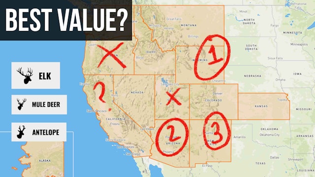 Best Value States for Elk, Deer & Pronghorn