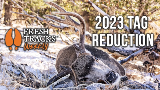 How Winter Kills Wildlife | Fresh Tracks Weekly Ep. 36