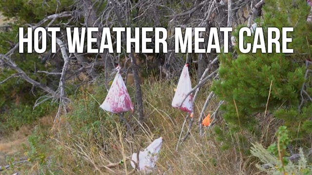 How to Take Care of Meat in Hot Weather 