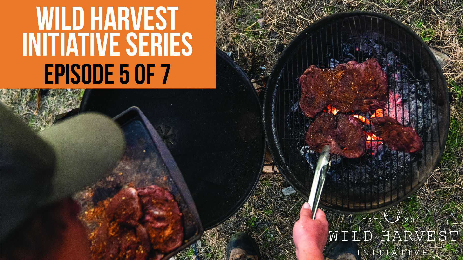 Wild Harvest Initiative Series - Episode 5 of 7