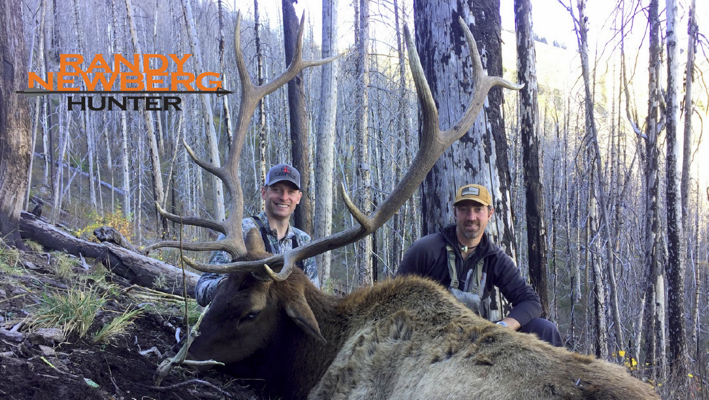 New Mexico Wilderness Elk with Leupold Optics