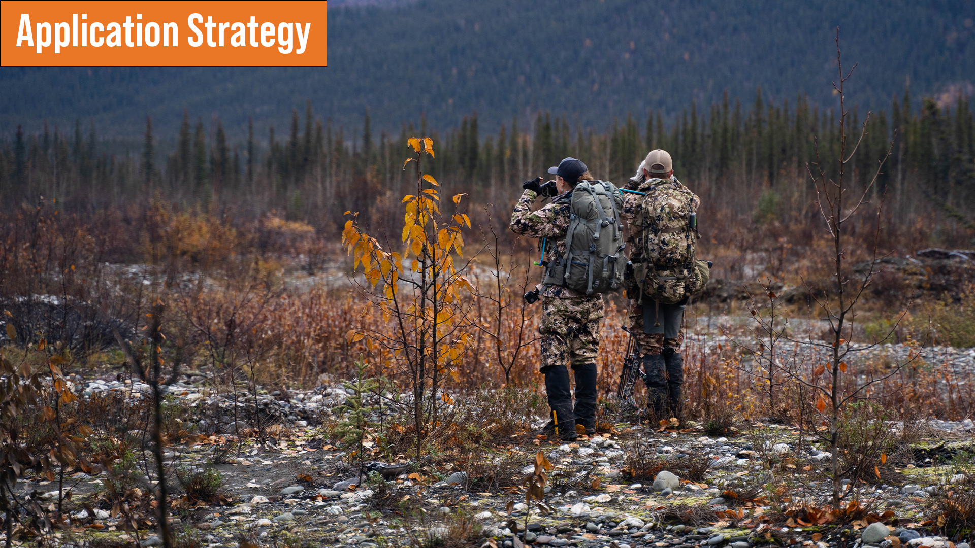 How to Apply for Big Game Hunts in Alaska! | Application Season