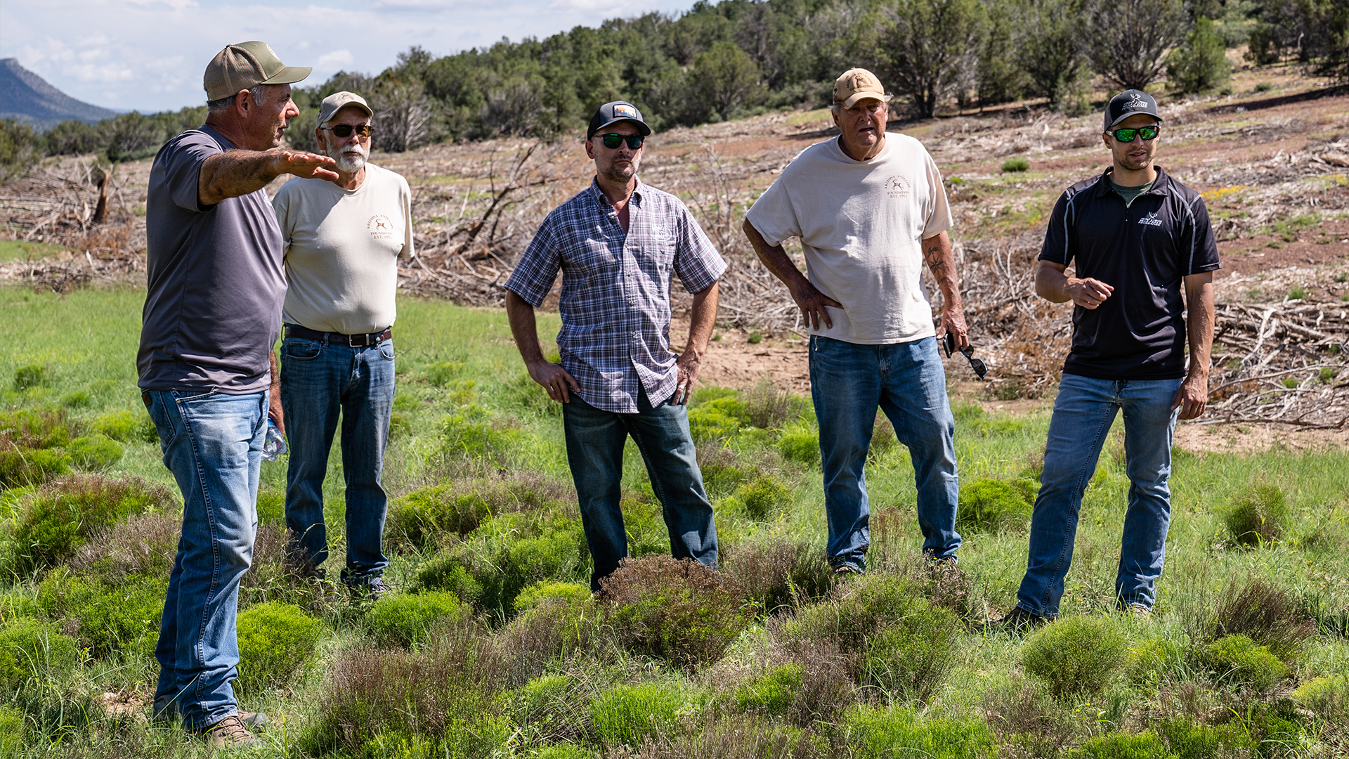 HUGE Arizona Habitat Restoration Project 