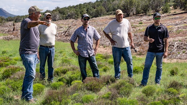 HUGE Arizona Habitat Restoration Proj...