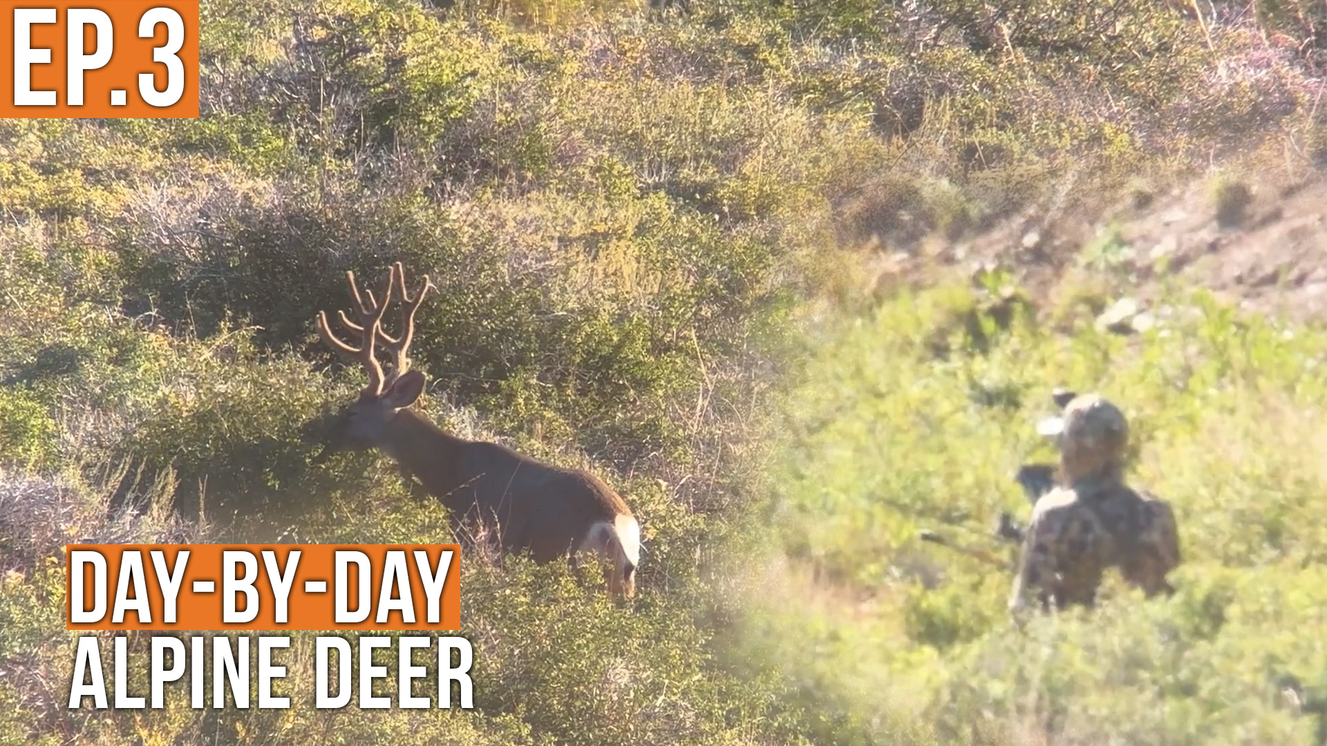We're in Business | Apline Deer (EP.3)