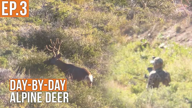 We're in Business | Apline Deer (EP.3)