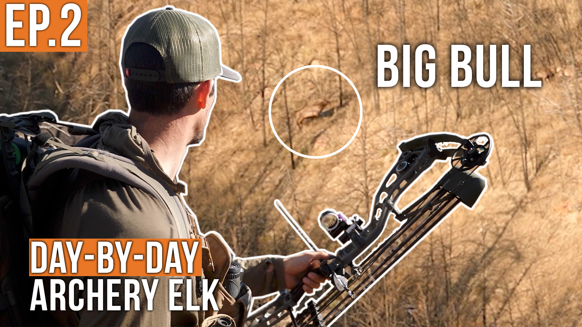 That's a STUD Bull | Jace's Archery Elk Ep. 2