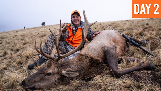 The Elk Are Where You Find 'em  | Montana Rifle Opener 