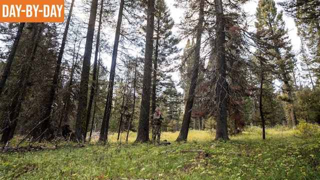 Bull Elk in Archery Range! | Idaho Archery Elk with Randy (Ep.3) 