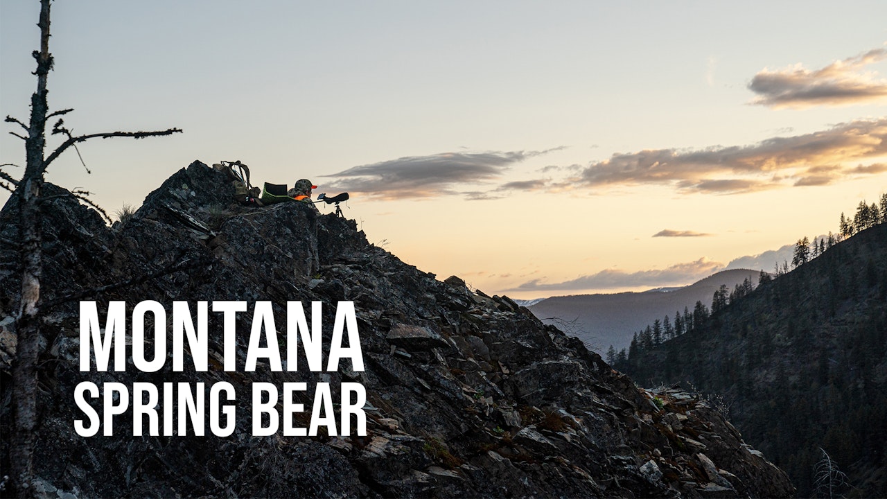 2022 Montana Bear Hunts