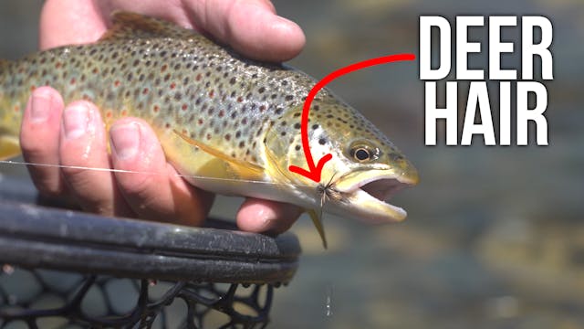 Catching Trout with Harvested Animals 