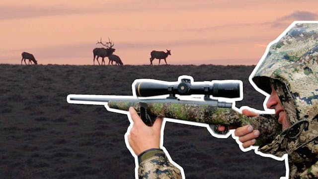 How to Select a Elk Hunting Cartridge...