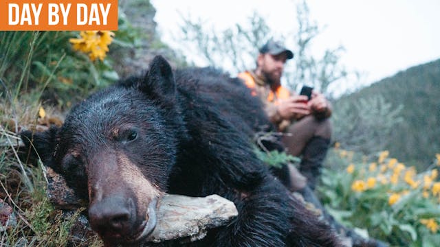 Last Light Success | Montana Bear Hun...