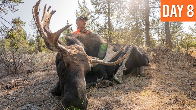My 30 Year Dream | Montana Moose (DAY 8)