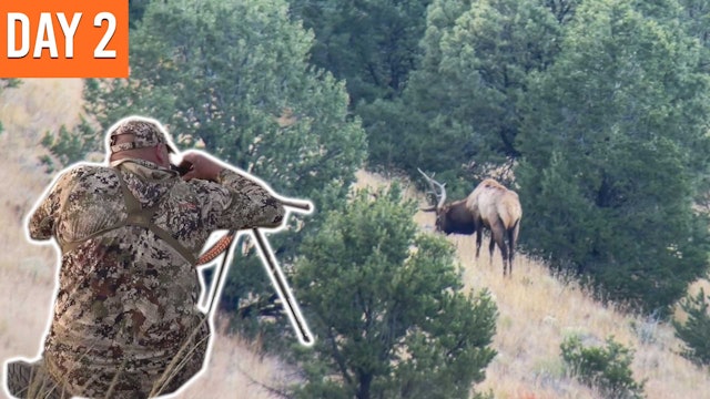 SO CLOSE on Opening Day! | New Mexico Elk Sweepstakes 