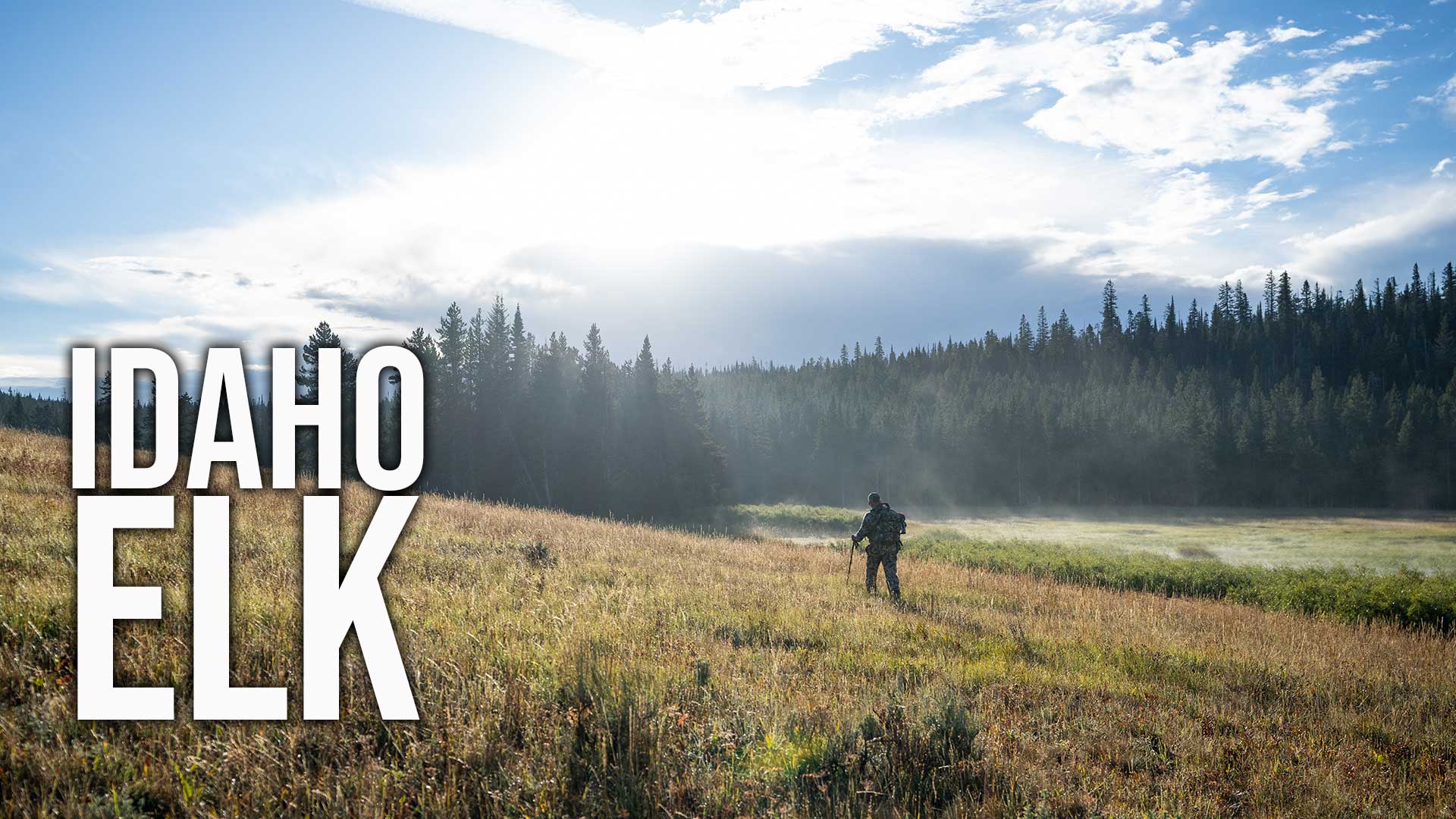 2023 Idaho Archery Elk Fresh Tracks+