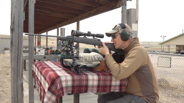 4 Environmental Factors That Affect B...