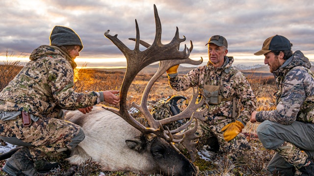 Hunt of a Lifetime | British Columbia Mountain Caribou and Moose