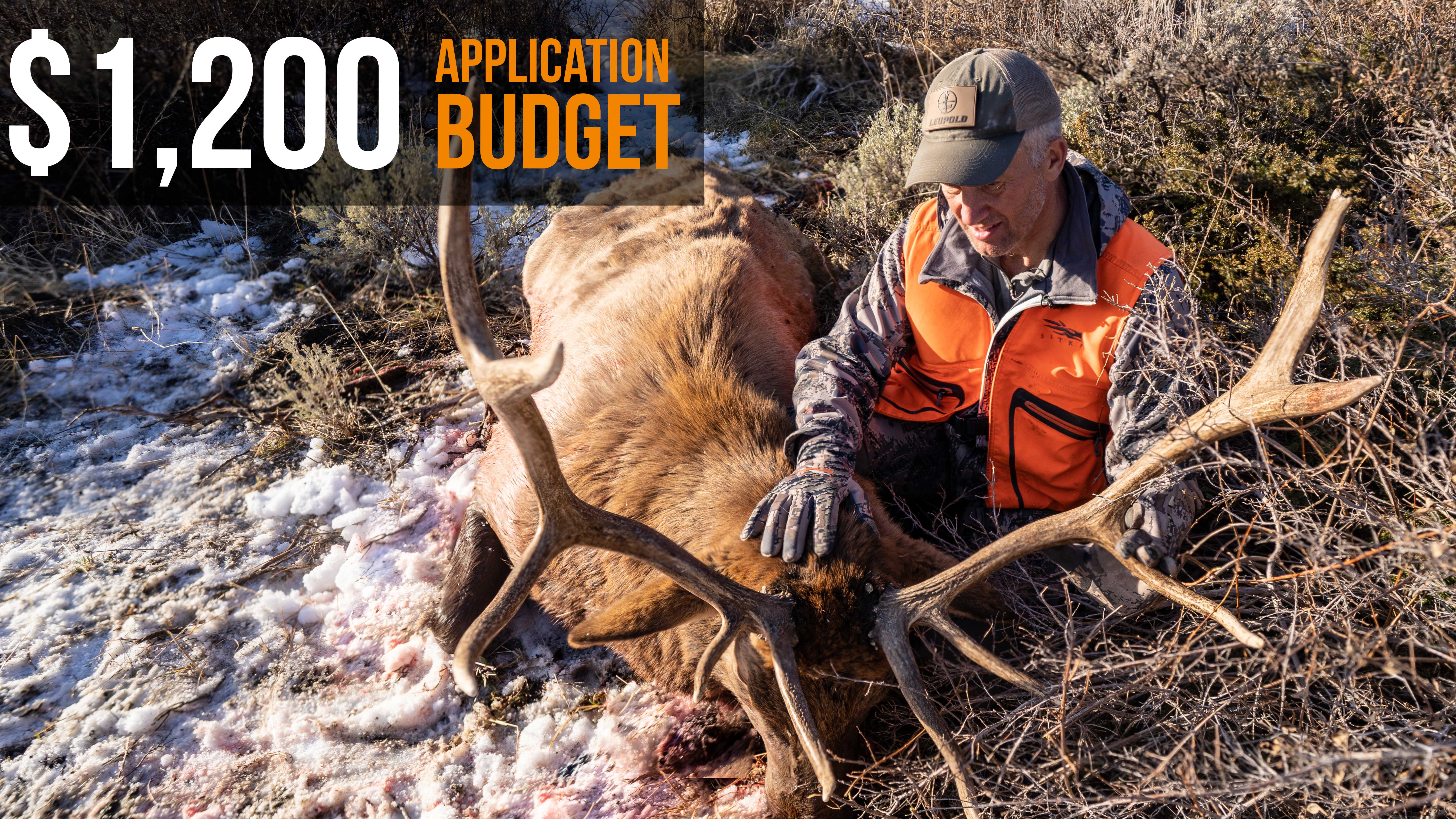 Hunt Elk on a Budget | $1,200 Elk Application Strategy