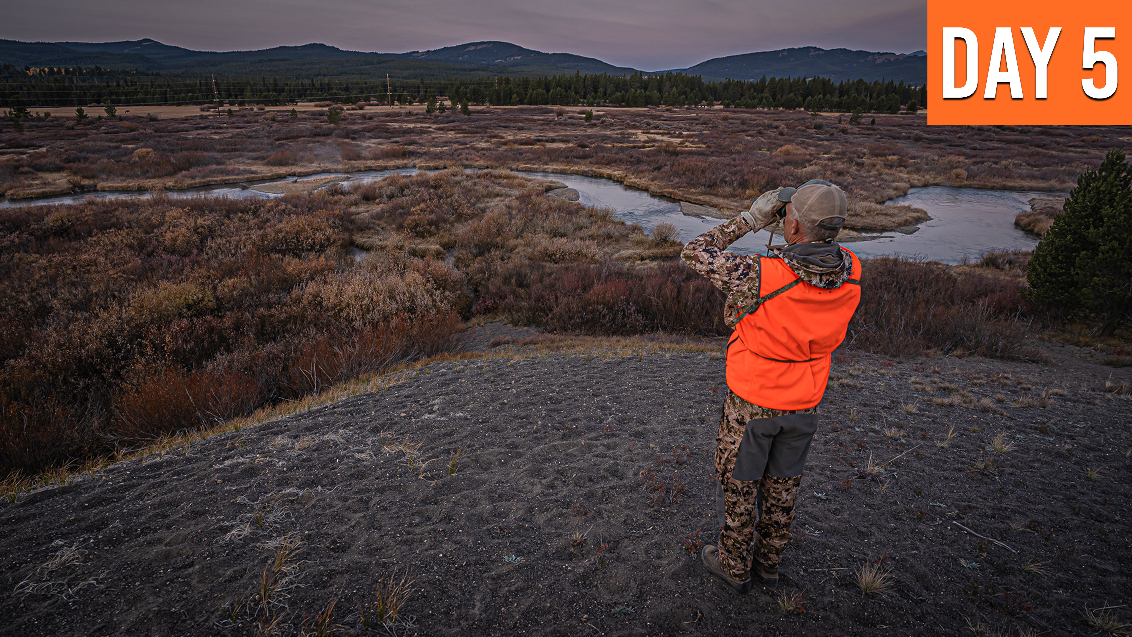 The Realities of Life Have Struck | Montana Moose (DAY 5)