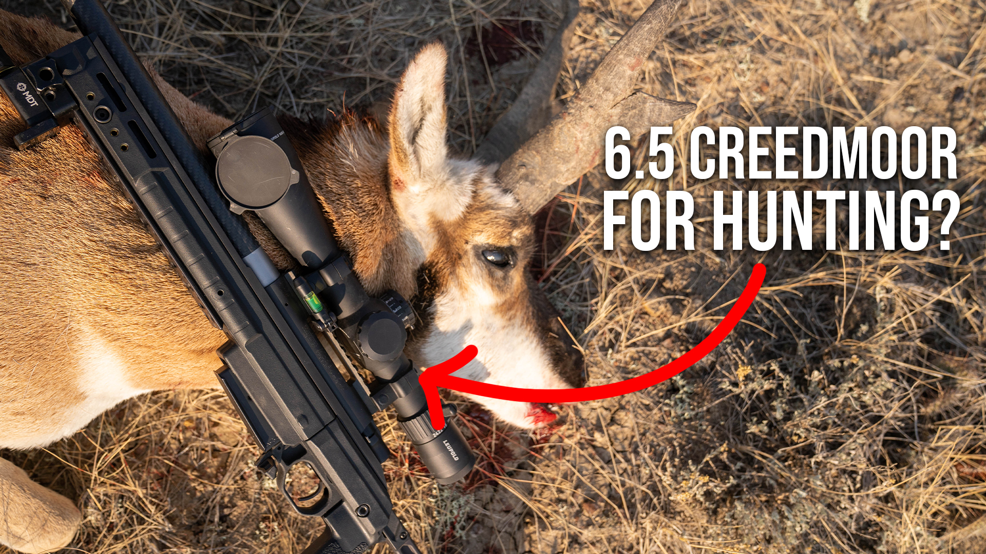 Rifle Recap | Michael's 6.5 Creedmoor (EP.8)