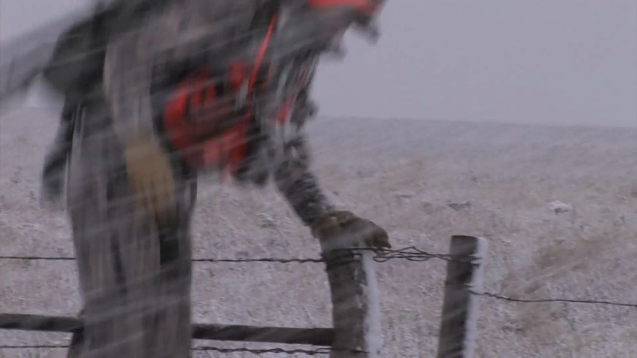 On Your Own Adventures: Season 3, Episode 6 - Kansas Whitetails