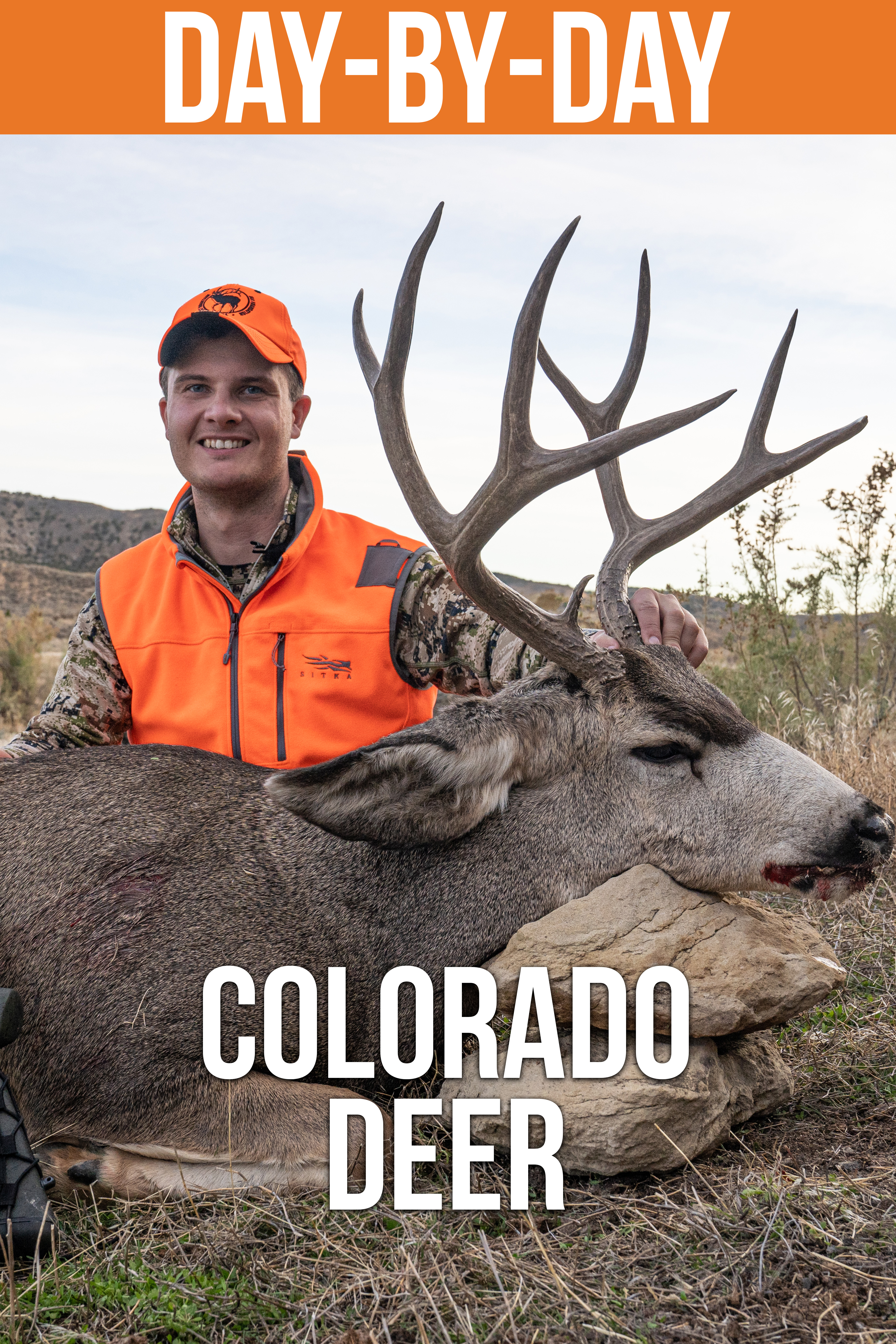 Colorado Mule Deer
