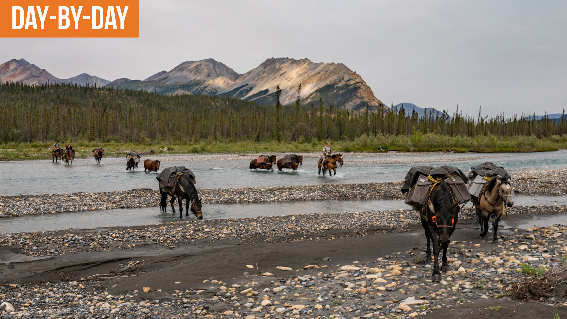 The Unsung Heroes, Pack Horses of Gana River | NWT Episode (EP.4)