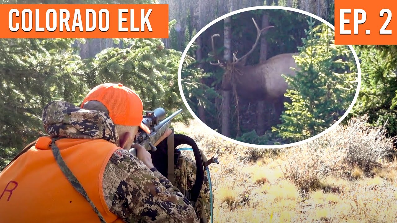 SHOTS FIRED on Opening Day | Colorado First Season Elk (EP. 2)
