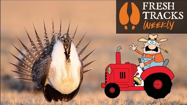 Farming for Sage-grouse | Fresh Tracks Weekly (Ep. 6)