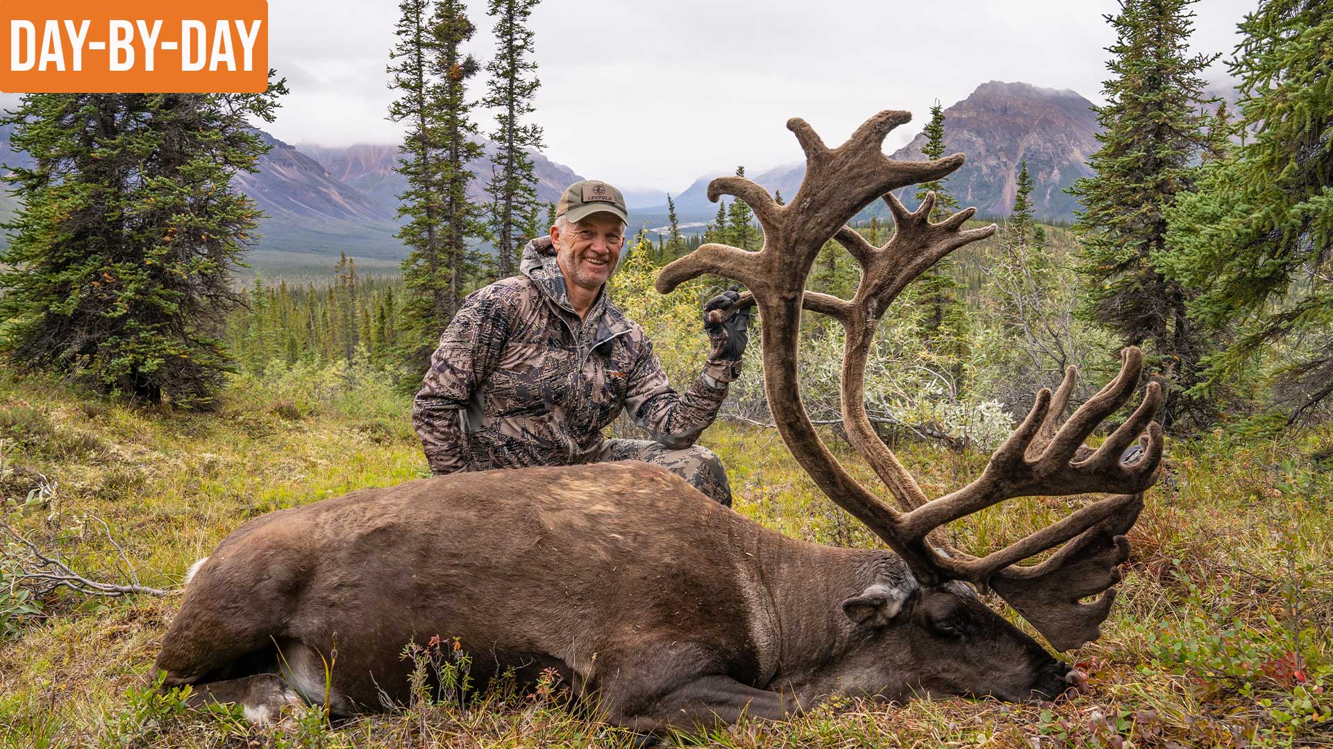 GIANT Caribou DOWN! | NWT Dall Sheep and Caribou (EP.7)