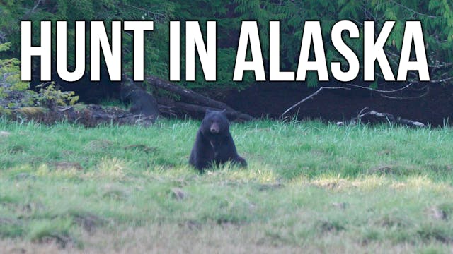 Experience Alaska! | How to Hunt AK a...