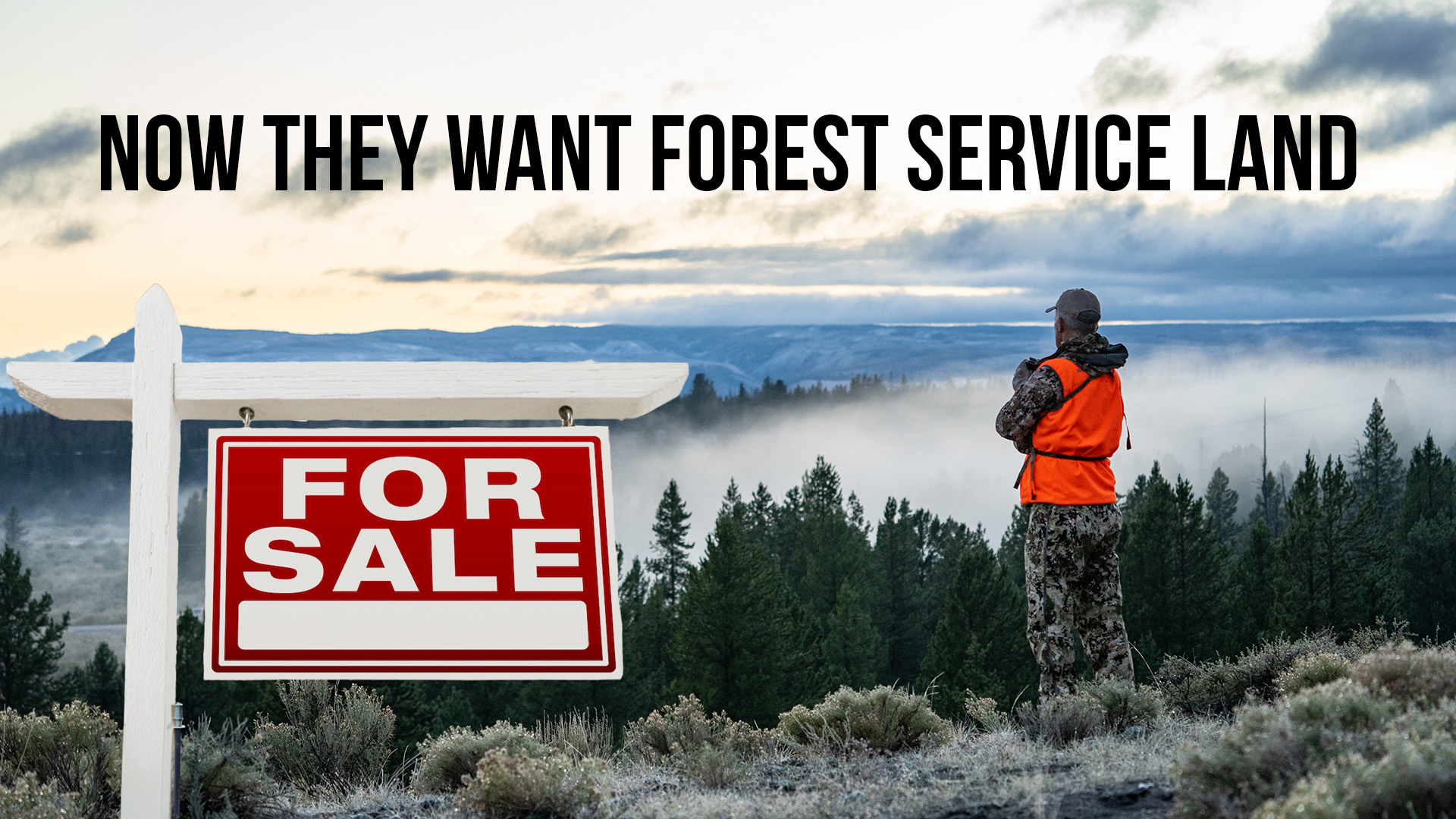 1/2 Million Acres to Be Sold? | Fresh Tracks Weekly (Ep. 94)