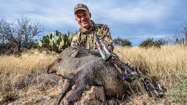 Sonoran Smorgasbord | Southern AZ Coues Deer, Javelina, Jackrabbit, and Quail