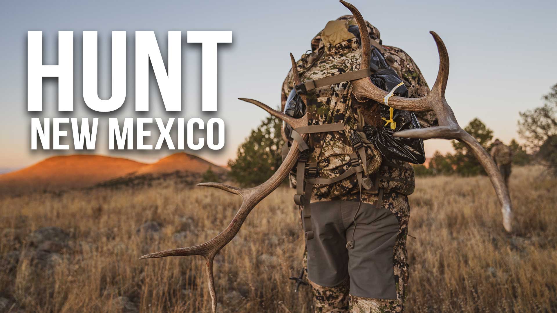 2023 New Mexico Application Strategy 