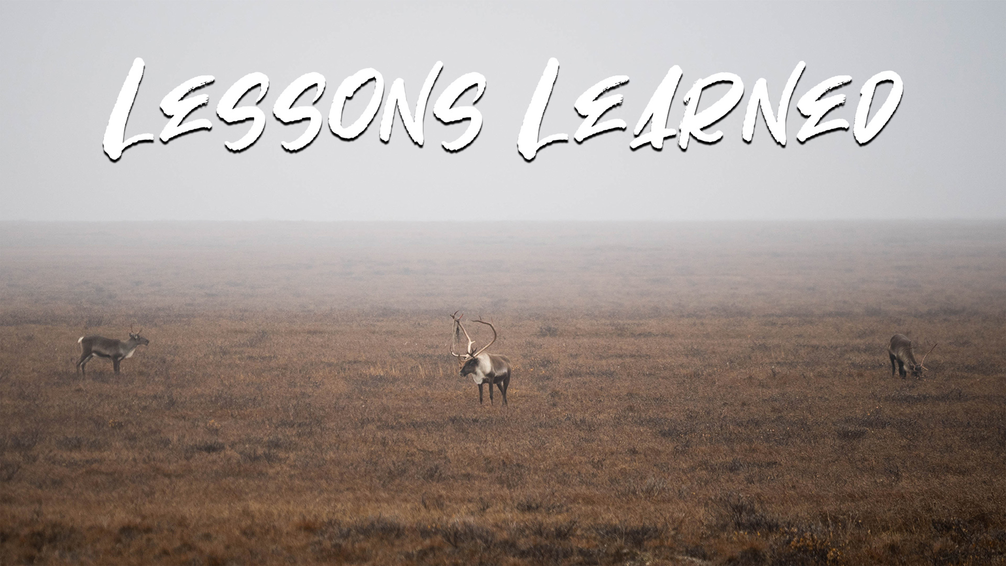 A Self-Guided Alaska Moose and Caribou Hunt