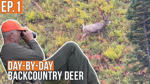 Do I Shoot That One on Day 1? | Backc...