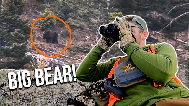 Multiple Bears Spotted | Dale's Bear Hunt EP. 1 
