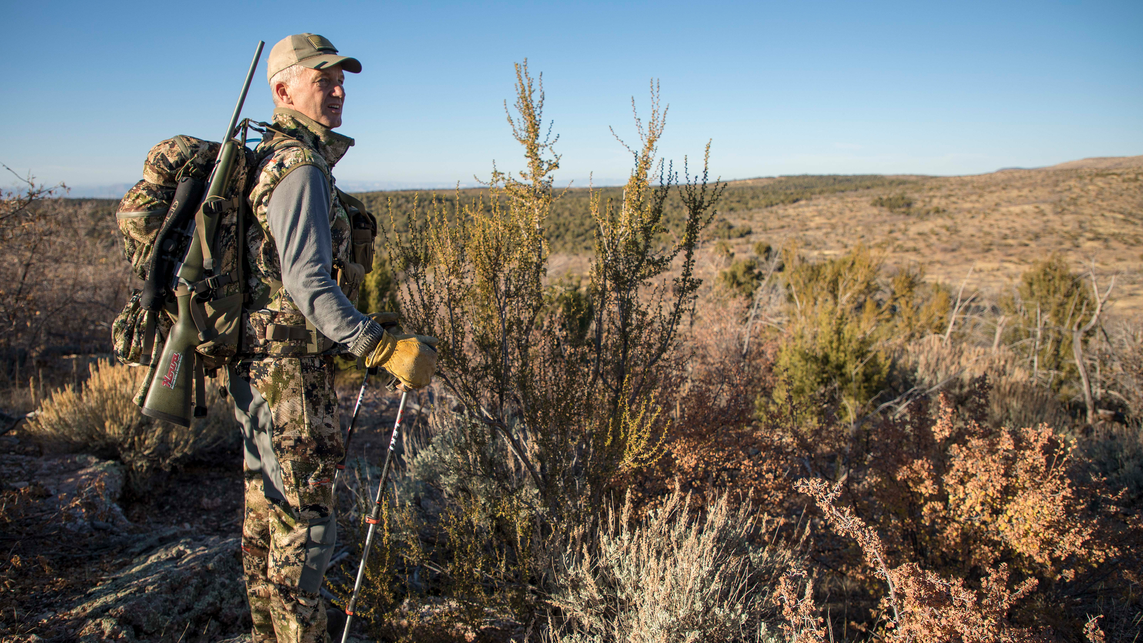 Kaibab Mule Deer - Arizona Enchantment
