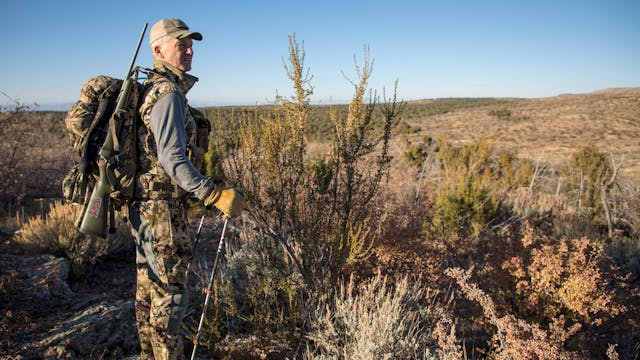 Kaibab Mule Deer - Arizona Enchantment