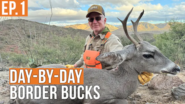 Buck Down | Boarder Bucks Day by Day ...