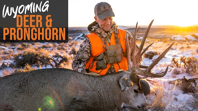 Wyoming Deer & Pronghorn Application Strategy 