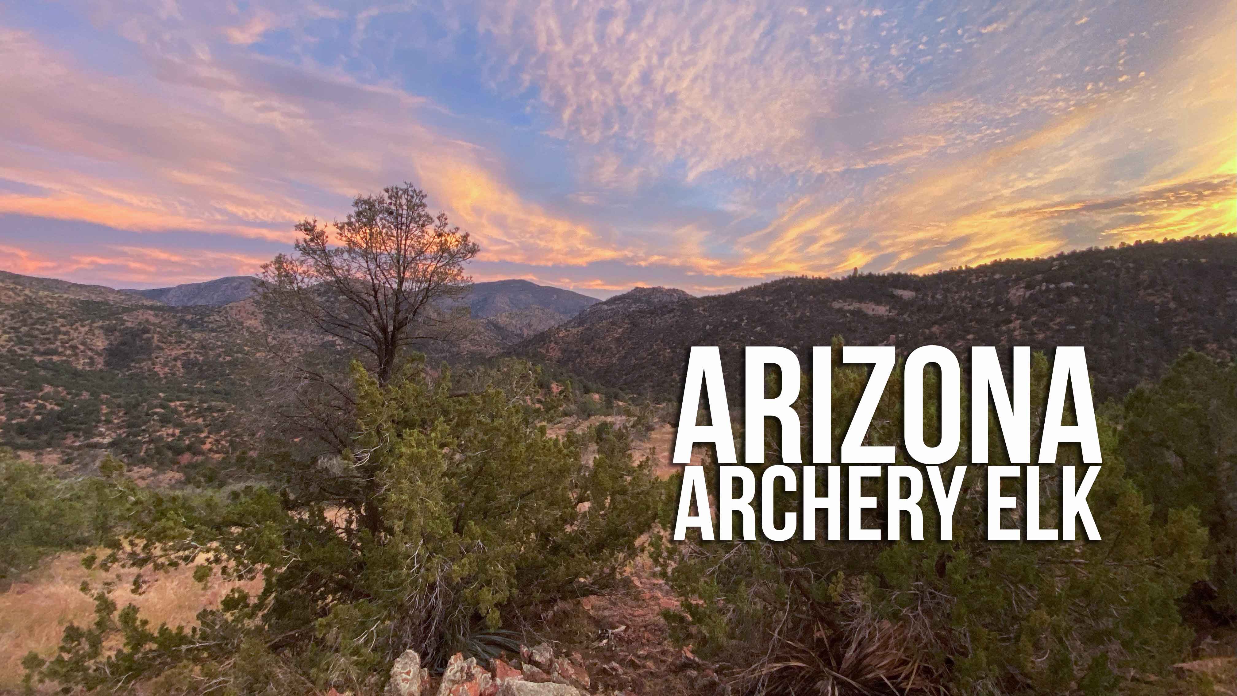 Arizona Archery Elk